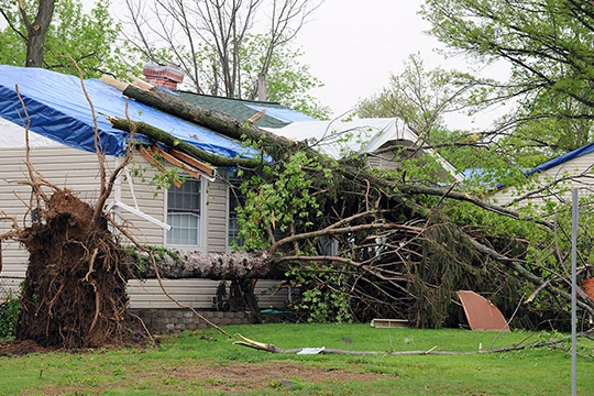 Storm Cleanup Company