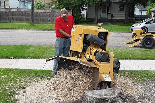 Stump Removal Solutions