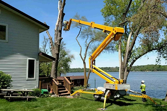 Residential Tree Care​