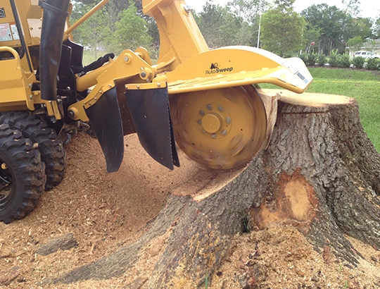Commercial Stump Removal Service